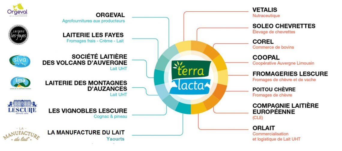 Nos filiales et nos partenaires
