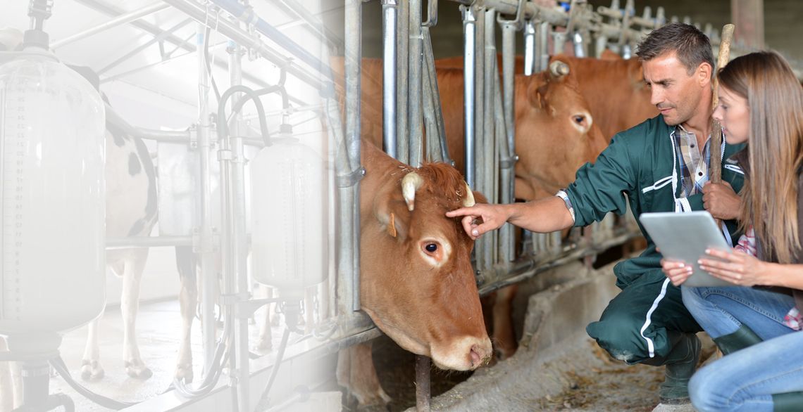 ACCOMPAGNER nos producteurs de lait