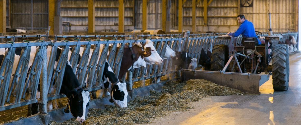 ACCOMPAGNER nos producteurs de lait