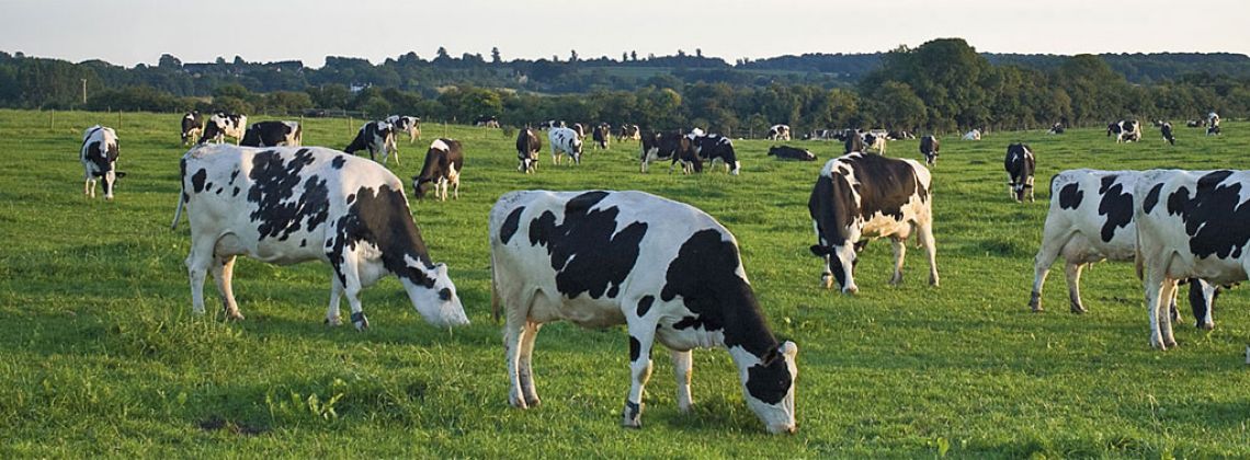 Agrofourniture