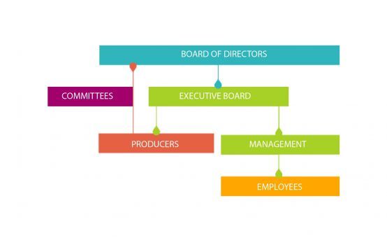 Our structure